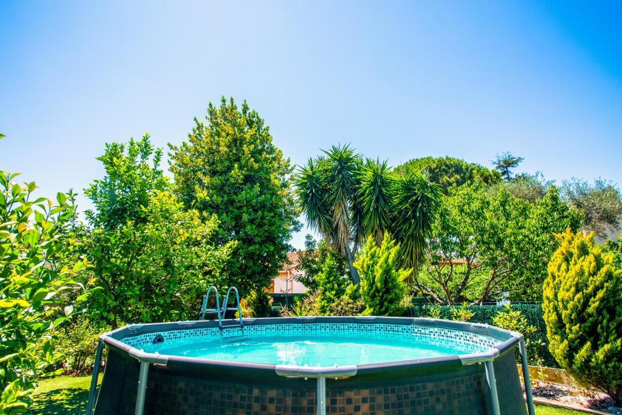 Villa Provence-Spa&Bbq Centre Au Calme- Jardin - Terrasses Ла-Валетт-дю-Вар Экстерьер фото